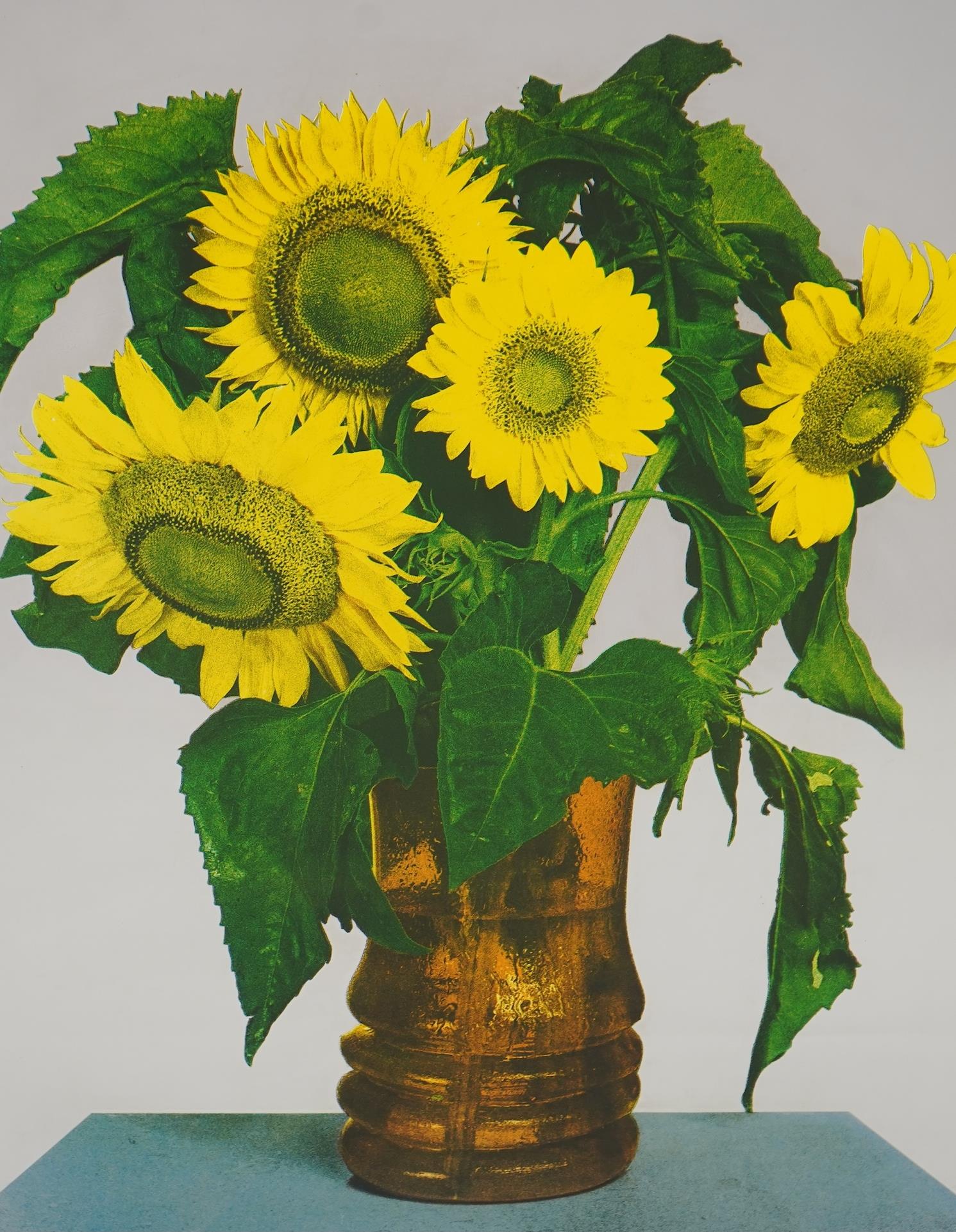Michelangelo Pistoletto, Italian b. 1933, 'Girasoli (Sunflowers)'